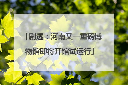 剧透：河南又一重磅博物馆即将开馆试运行