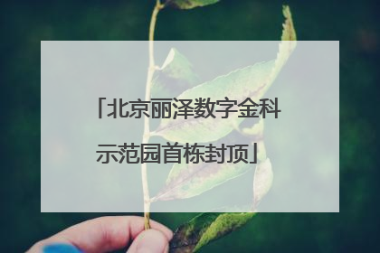 北京丽泽数字金科示范园首栋封顶