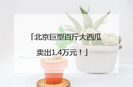 北京巨型百斤大西瓜卖出1.4万元！