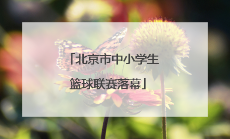 北京市中小学生篮球联赛落幕