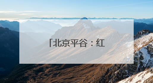 北京平谷：红杏成熟上市