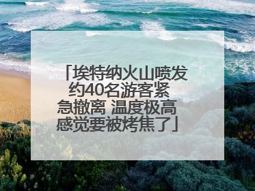 埃特纳火山喷发 约40名游客紧急撤离 温度极高感觉要被烤焦了