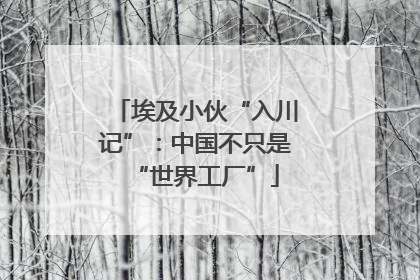 埃及小伙“入川记”：中国不只是“世界工厂”