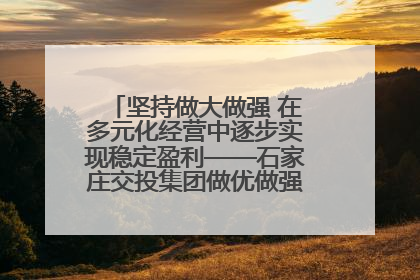 坚持做大做强 在多元化经营中逐步实现稳定盈利——石家庄交投集团做优做强典型报道之三