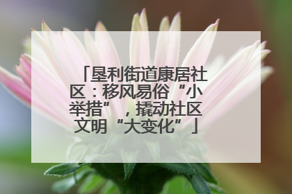 垦利街道康居社区：移风易俗“小举措”，撬动社区文明“大变化”