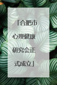 合肥市心理健康研究会正式成立