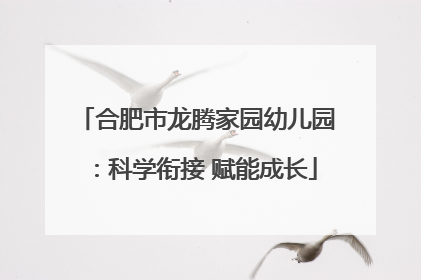 合肥市龙腾家园幼儿园：科学衔接 赋能成长