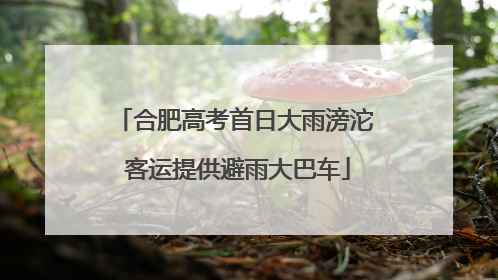 合肥高考首日大雨滂沱 客运提供避雨大巴车