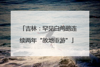 吉林：罕见白鸬鹚连续两年“故地重游”