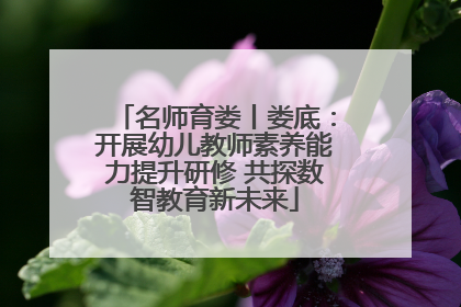 名师育娄丨娄底：开展幼儿教师素养能力提升研修 共探数智教育新未来