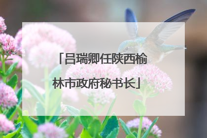 吕瑞卿任陕西榆林市政府秘书长