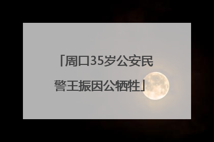 周口35岁公安民警王振因公牺牲