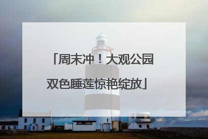 周末冲！大观公园双色睡莲惊艳绽放