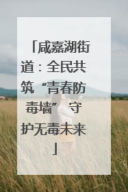 咸嘉湖街道：全民共筑“青春防毒墙” 守护无毒未来