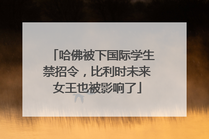 哈佛被下国际学生禁招令，比利时未来女王也被影响了