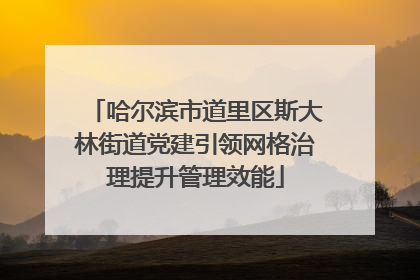 哈尔滨市道里区斯大林街道党建引领网格治理提升管理效能