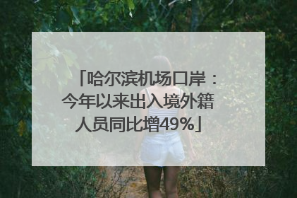 哈尔滨机场口岸：今年以来出入境外籍人员同比增49%