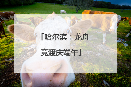 哈尔滨：龙舟竞渡庆端午