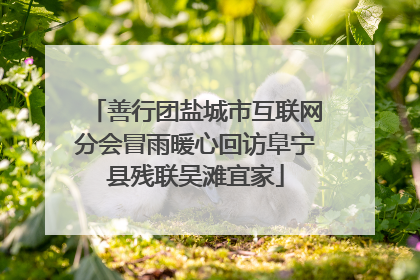 善行团盐城市互联网分会冒雨暖心回访阜宁县残联吴滩宜家