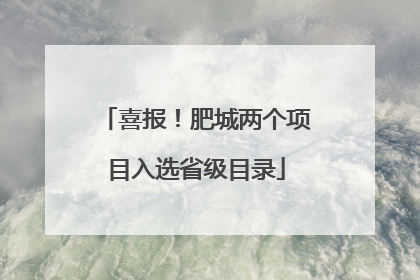 喜报！肥城两个项目入选省级目录