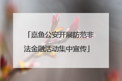嘉鱼公安开展防范非法金融活动集中宣传