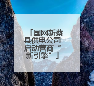 国网新蔡县供电公司启动营商“新引擎”
