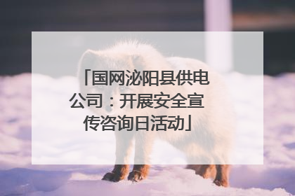 国网泌阳县供电公司：开展安全宣传咨询日活动