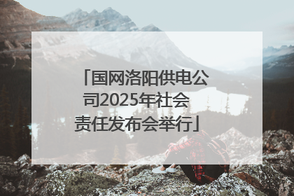 国网洛阳供电公司2025年社会责任发布会举行
