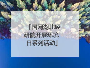 国网湖北经研院开展环境日系列活动