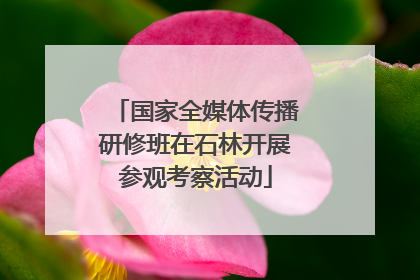 国家全媒体传播研修班在石林开展参观考察活动