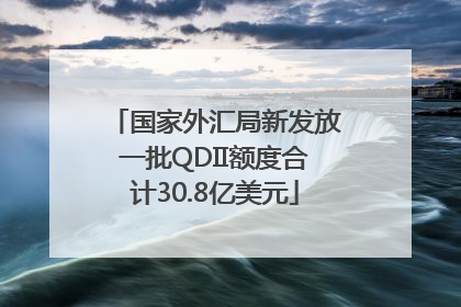 国家外汇局新发放一批QDII额度合计30.8亿美元