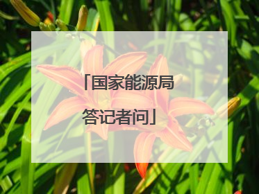 国家能源局答记者问