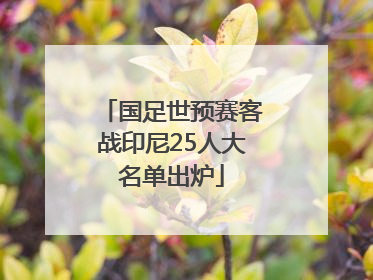 国足世预赛客战印尼25人大名单出炉