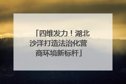 四维发力！湖北沙洋打造法治化营商环境新标杆