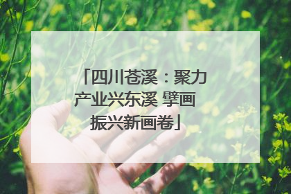 四川苍溪：聚力产业兴东溪 擘画振兴新画卷