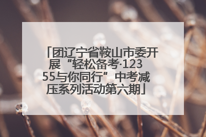 团辽宁省鞍山市委开展“轻松备考·12355与你同行”中考减压系列活动第六期