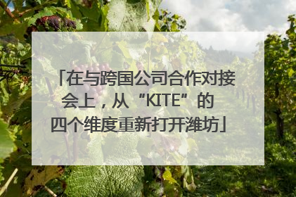 在与跨国公司合作对接会上，从“KITE”的四个维度重新打开潍坊
