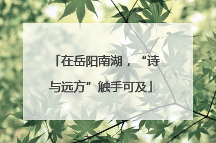 在岳阳南湖，“诗与远方”触手可及