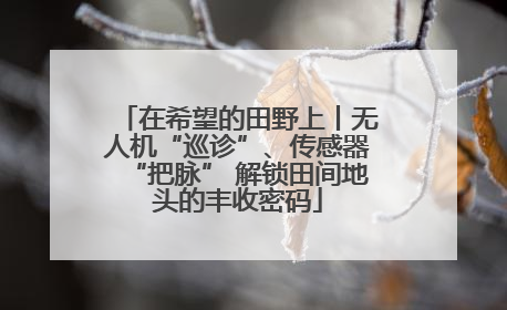 在希望的田野上丨无人机“巡诊”、传感器“把脉” 解锁田间地头的丰收密码