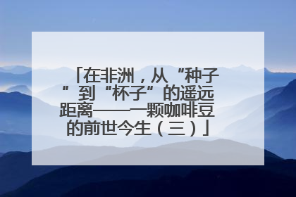 在非洲，从“种子”到“杯子”的遥远距离——一颗咖啡豆的前世今生（三）