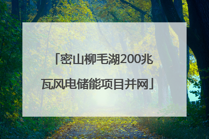 密山柳毛湖200兆瓦风电储能项目并网