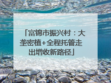 富锦市振兴村：大垄密植+全程托管走出增收新路径