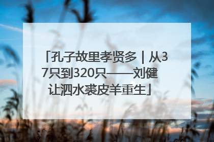 孔子故里孝贤多｜从37只到320只——刘健让泗水裘皮羊重生