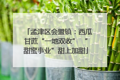 孟津区会盟镇：西瓜甘蔗“一地双收” “甜蜜事业”甜上加甜