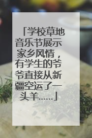 学校草地音乐节展示家乡风情，有学生的爷爷直接从新疆空运了一头羊……