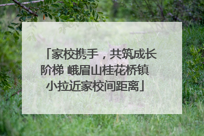 家校携手，共筑成长阶梯 峨眉山桂花桥镇小拉近家校间距离
