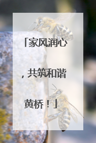 家风润心，共筑和谐黄桥！