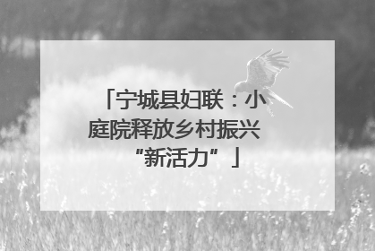 宁城县妇联：小庭院释放乡村振兴“新活力”