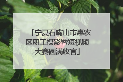 宁夏石嘴山市惠农区职工摄影暨短视频大赛圆满收官