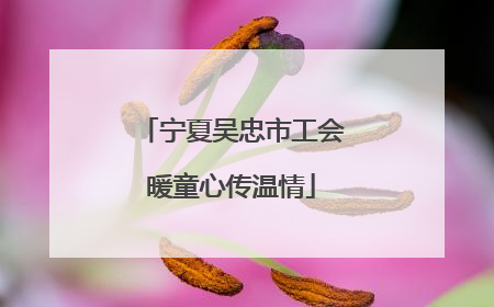 宁夏吴忠市工会暖童心传温情